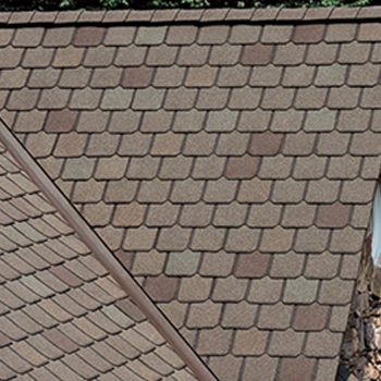 Berkshire Asphalt Luxury Shingle (Owens Corning)